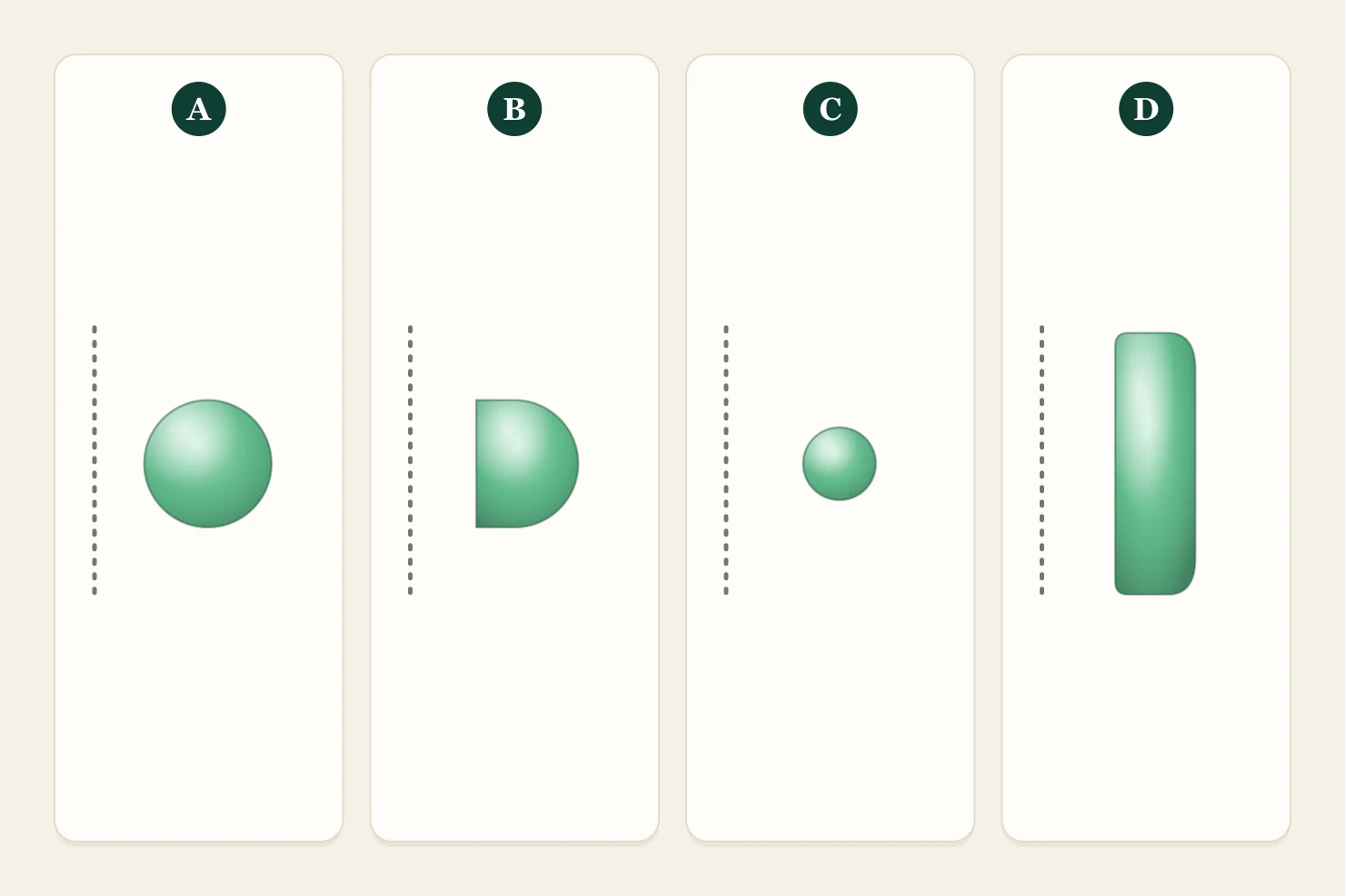 Four jadeite bangle cross-sections next to a dotted line for the wrist: round, flat inside with a rounded outside, slim round, and a wide flat band