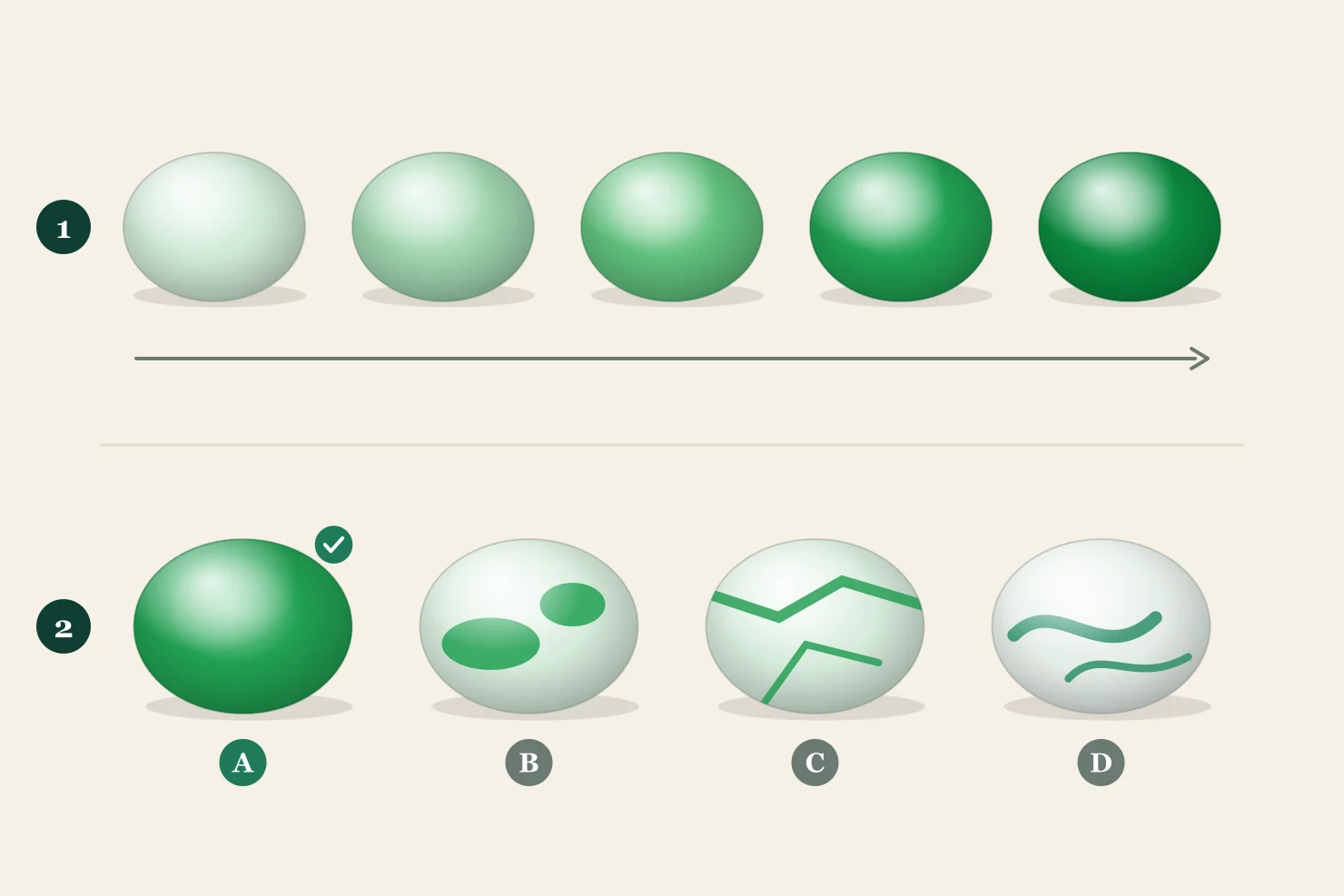 Two rows of green jadeite cabochons: the top row runs from pale to deep green, the bottom row shows even, patchy, veined and floating-flower color