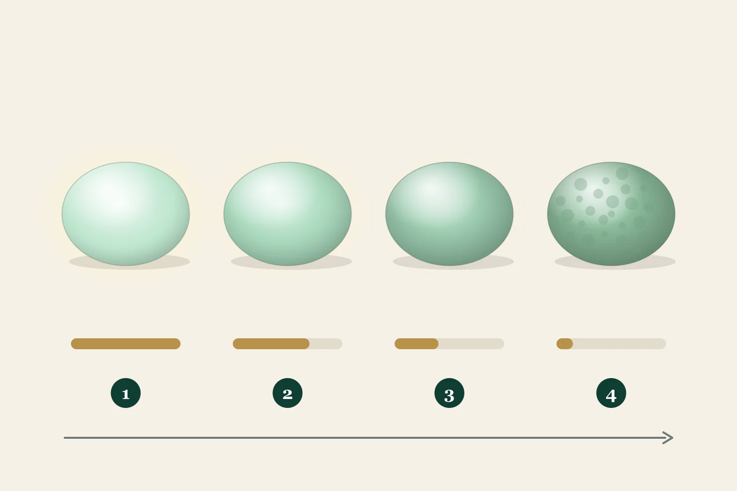 Four jadeite cabochons lit from behind, from glassy and icy to glutinous and bean texture, with bars showing how far light passes into each