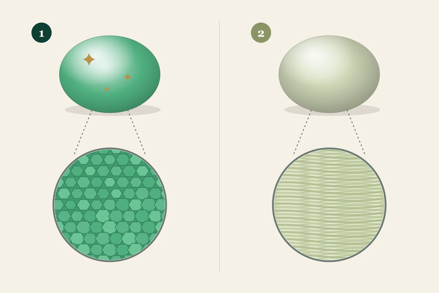 Jadeite with glassy luster and granular crystals compared with nephrite with oily luster and fibrous crystals, each shown with a magnified view